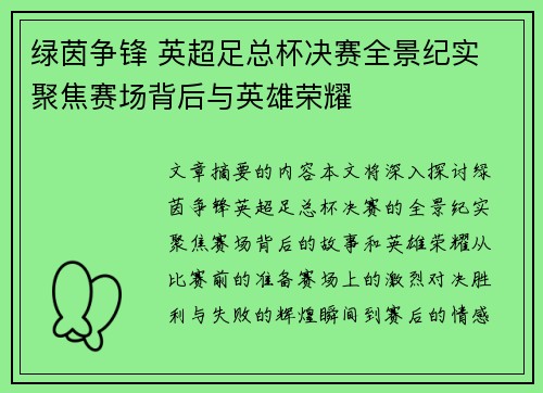 绿茵争锋 英超足总杯决赛全景纪实 聚焦赛场背后与英雄荣耀