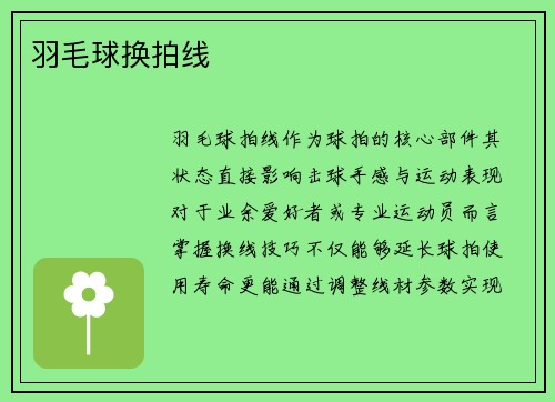 羽毛球换拍线